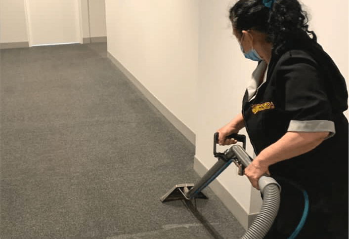 Upholstery and carpet