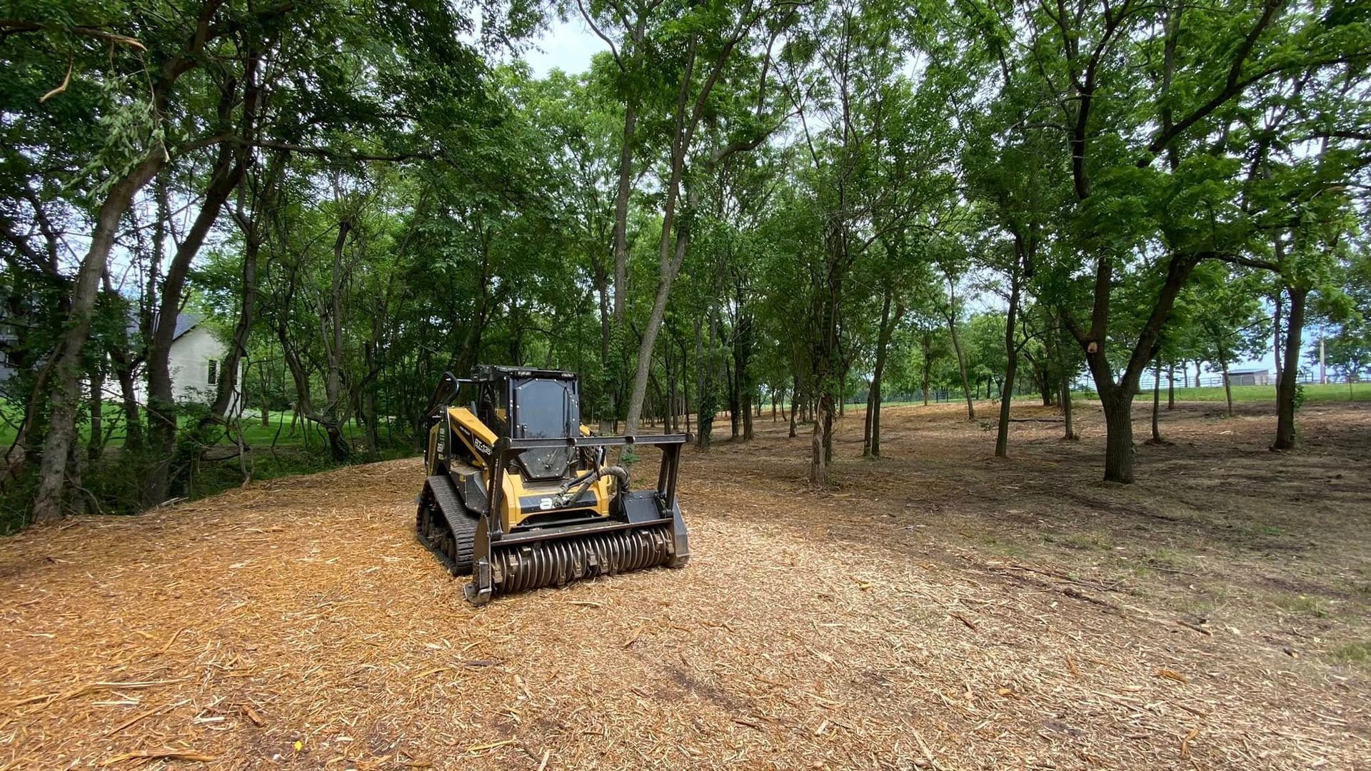 A yellow skid steer mulching wood chips in a wooded area with trees.