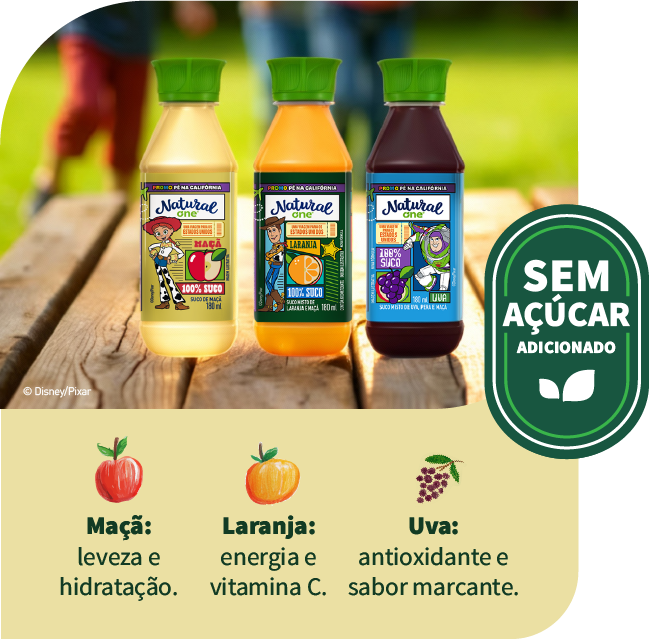 o poder dos sucos 100% fruta Lancheira natural da semana: nutrição e
praticidade com sabor 100% fruta