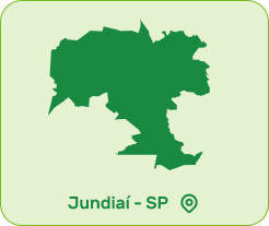 produção Pink - Framboesa