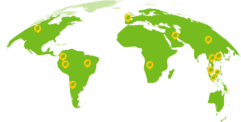 Um mapa do mundo verde e branco com círculos amarelos.