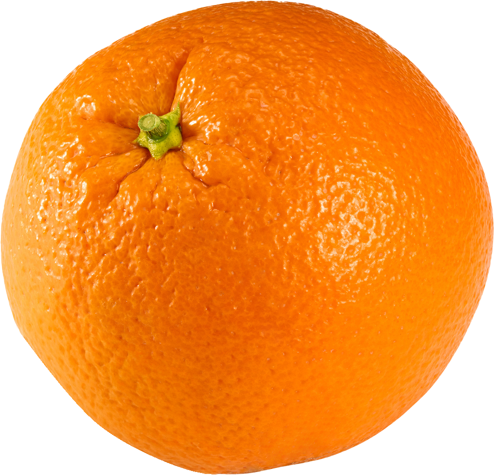 Uma laranja com um talo verde sobre um fundo branco