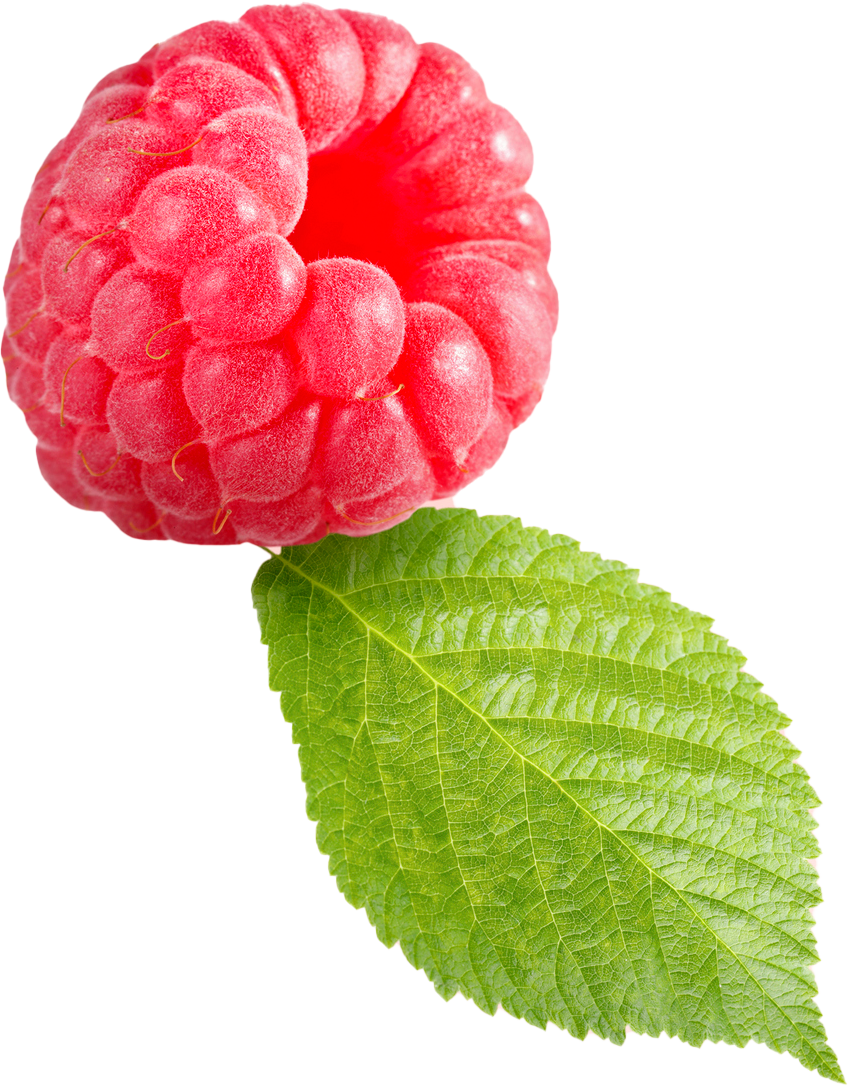 Uma framboesa com uma folha verde sobre um fundo branco
