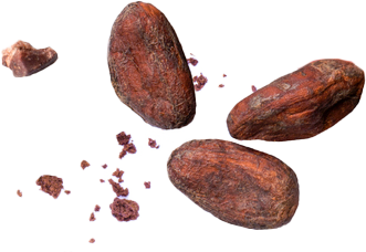 Um grupo de grãos de cacau em um fundo branco