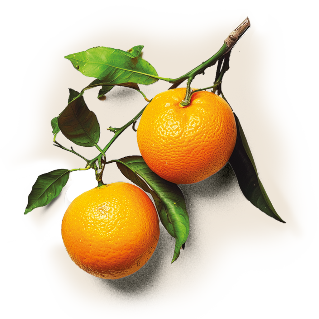 Puro e verdadeiro, do jeito que a natureza fez