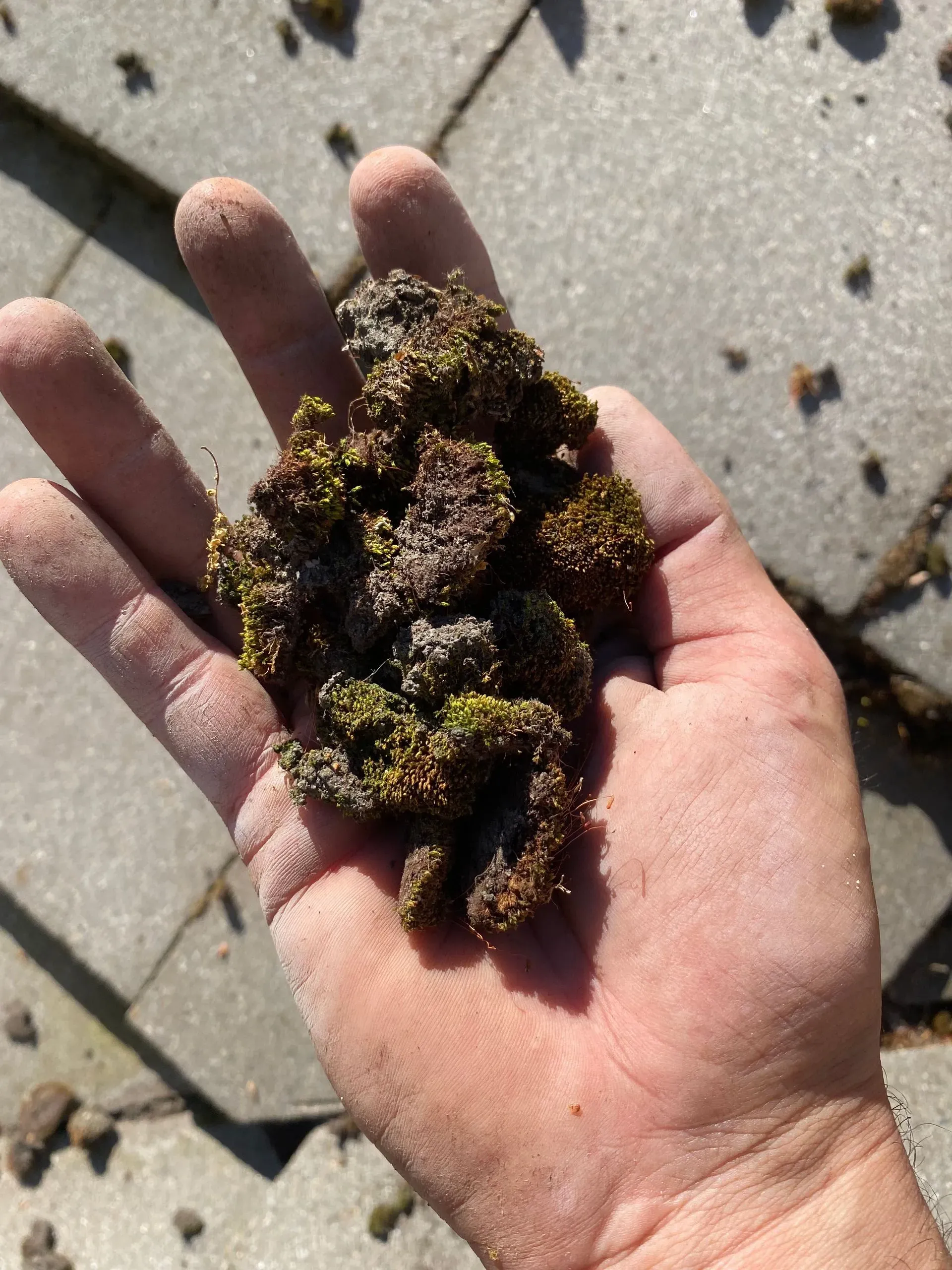 A person is holding a pile of rocks in their hand.