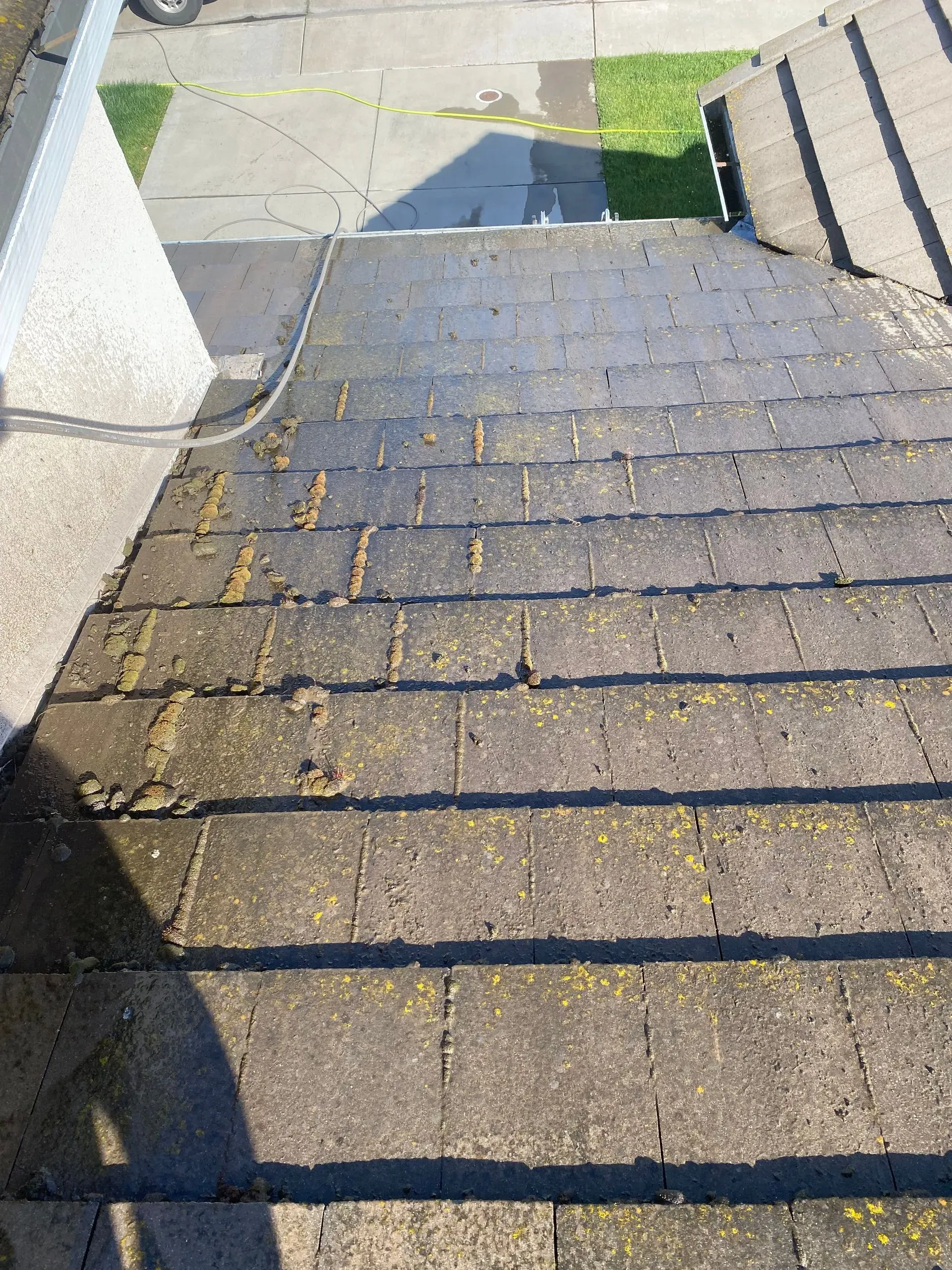 A roof with a lot of moss on it