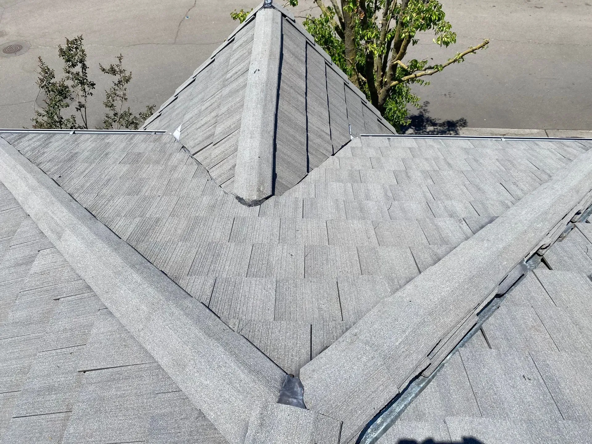 A close up of a roof with a tree in the background