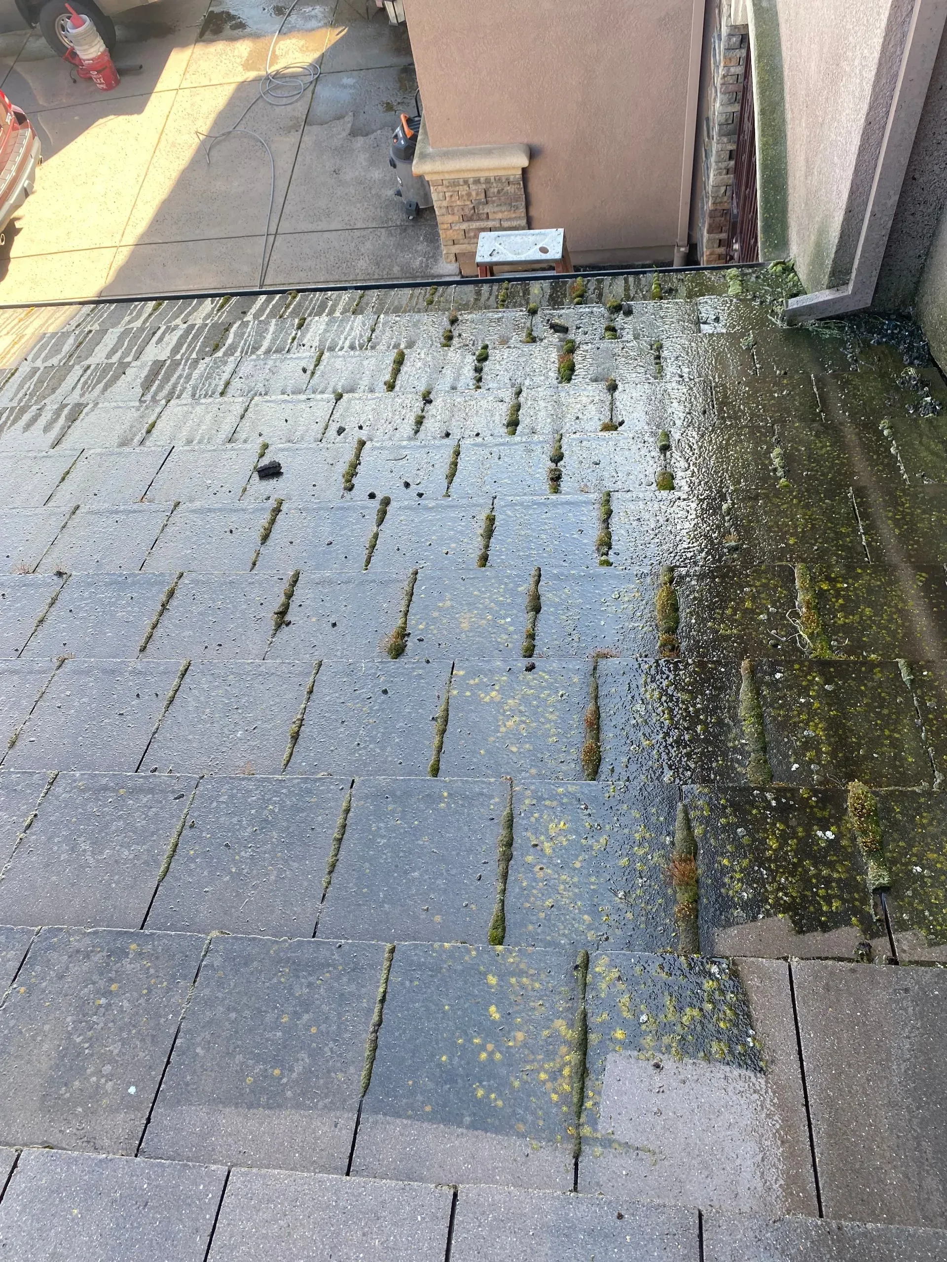 A close up of a staircase with a lot of moss on it.