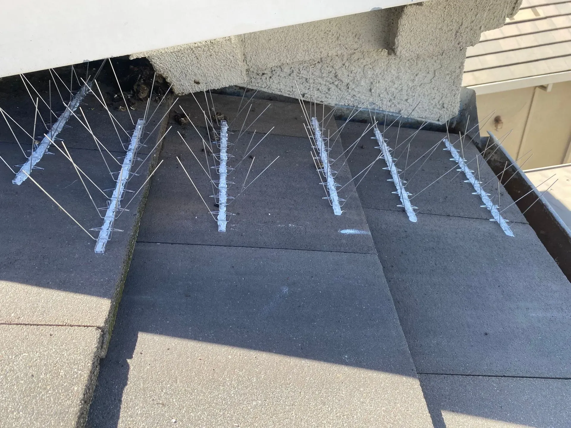 A row of bird spikes on the side of a building