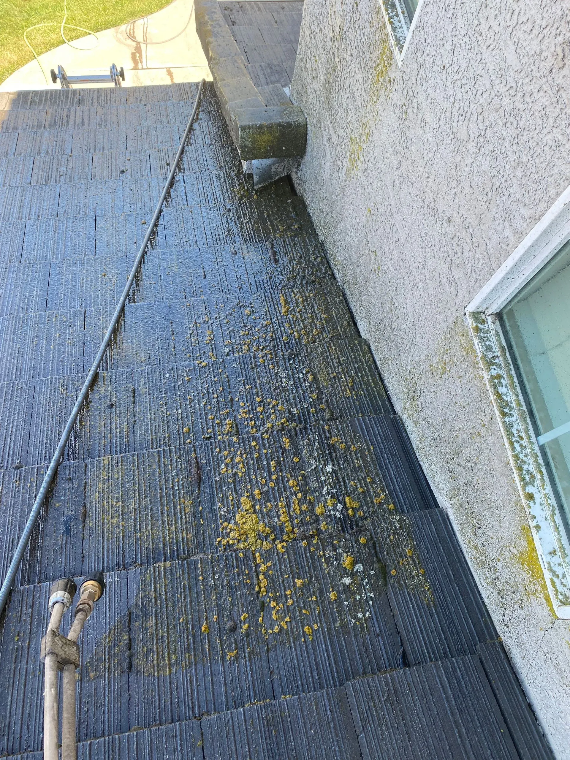 A roof of a building with a lot of leaves on it.