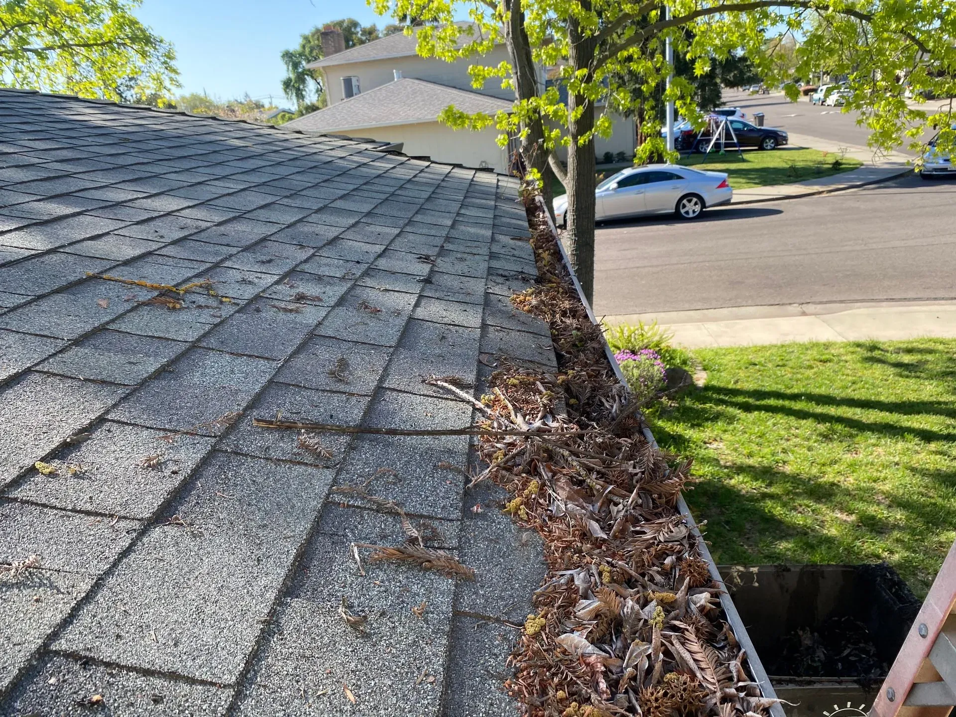 A gutter filled with leaves is on the roof of a house.