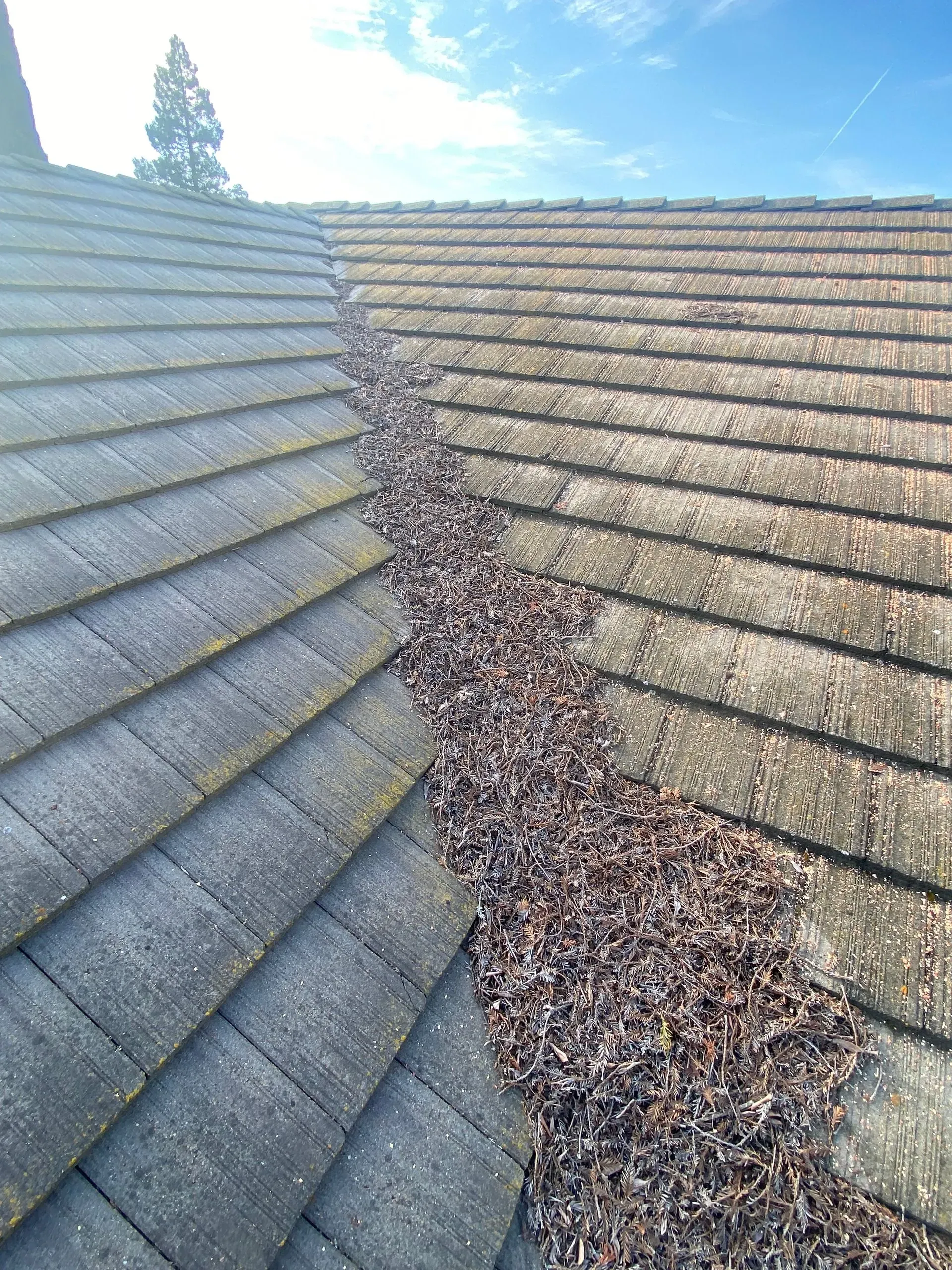 A before and after picture of a roof with a gutter full of leaves.