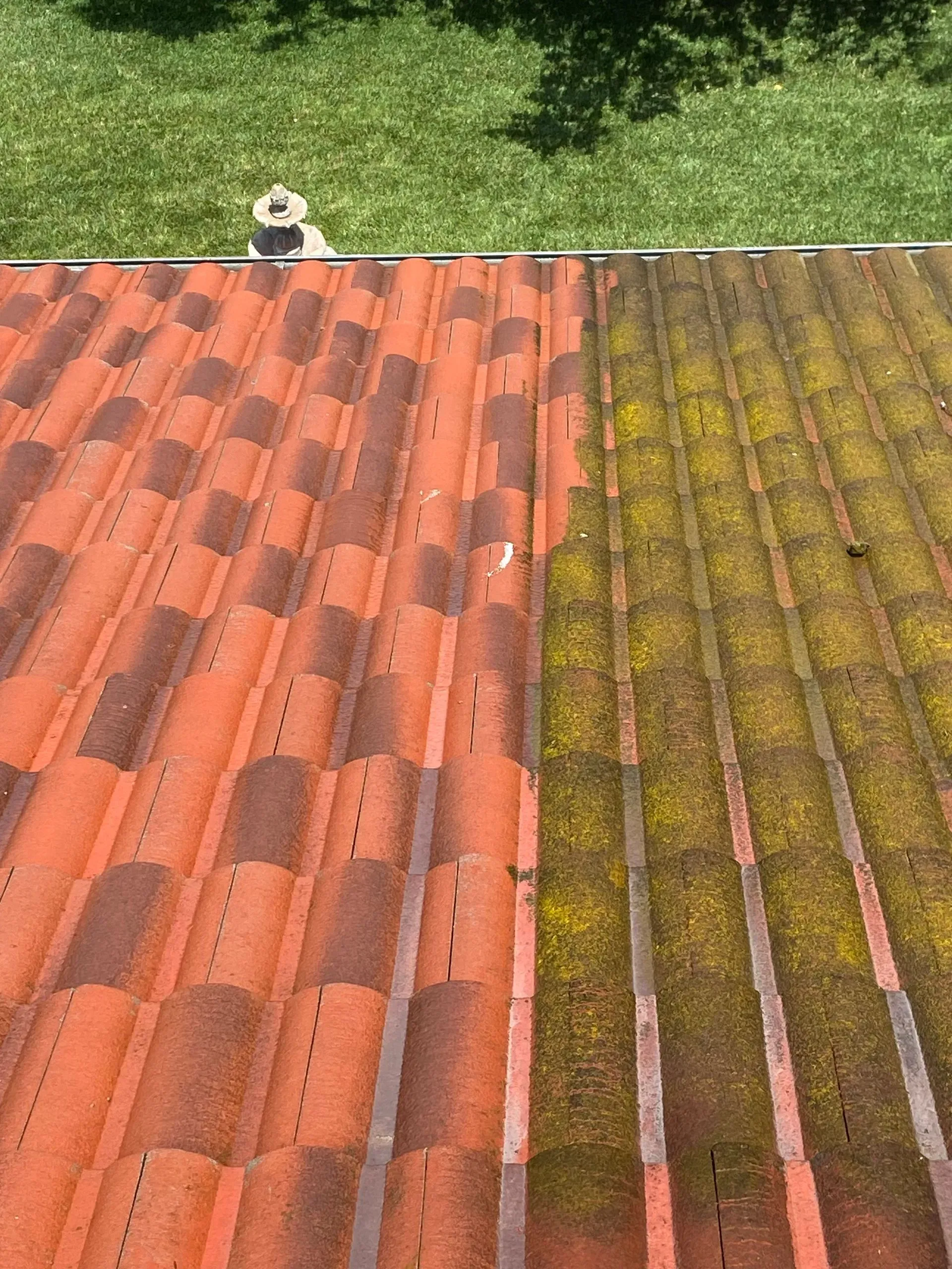 A red tile roof with moss on it and a green tile roof with moss on it.