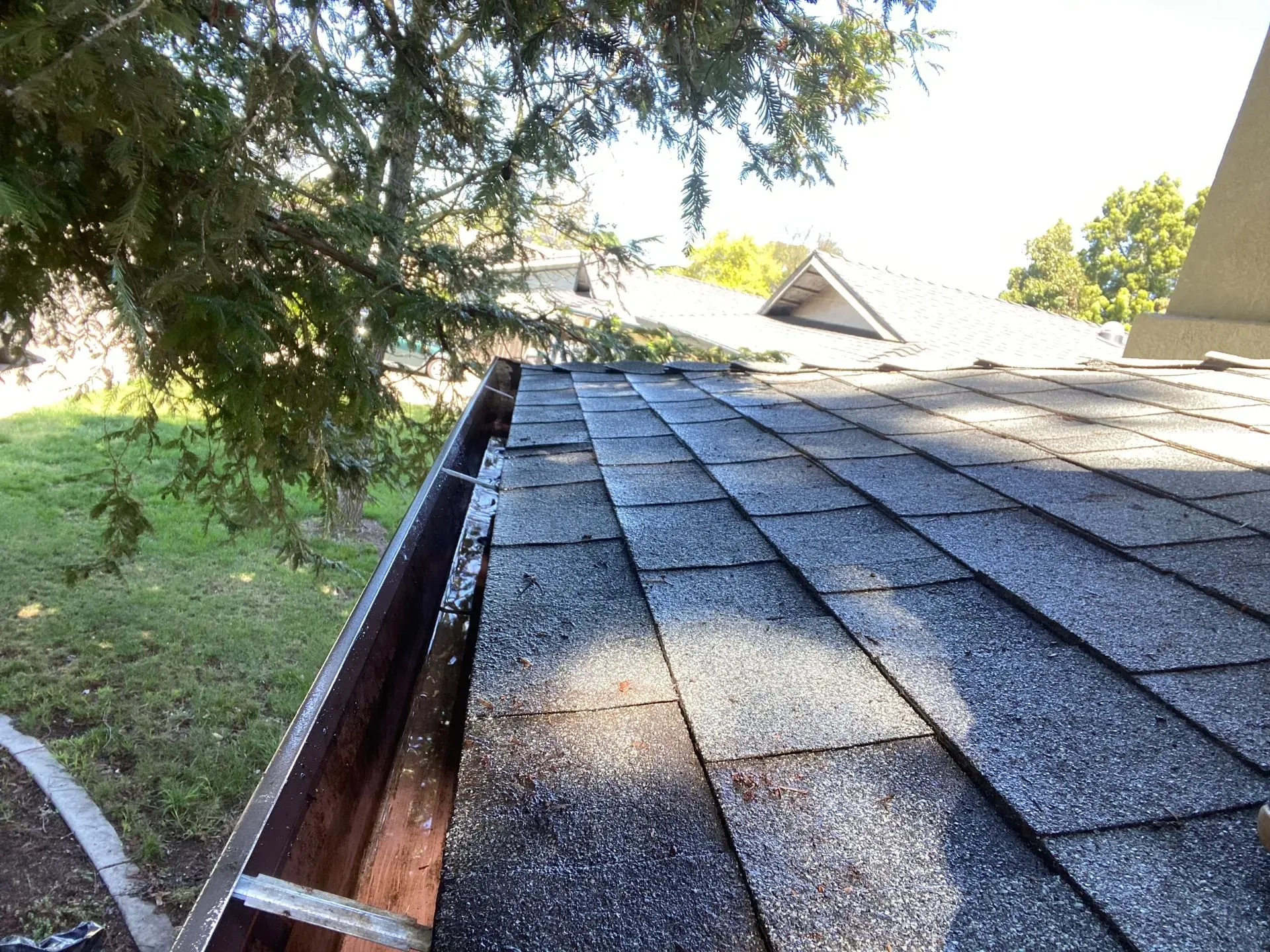 A roof with a gutter on it and a tree in the background.
