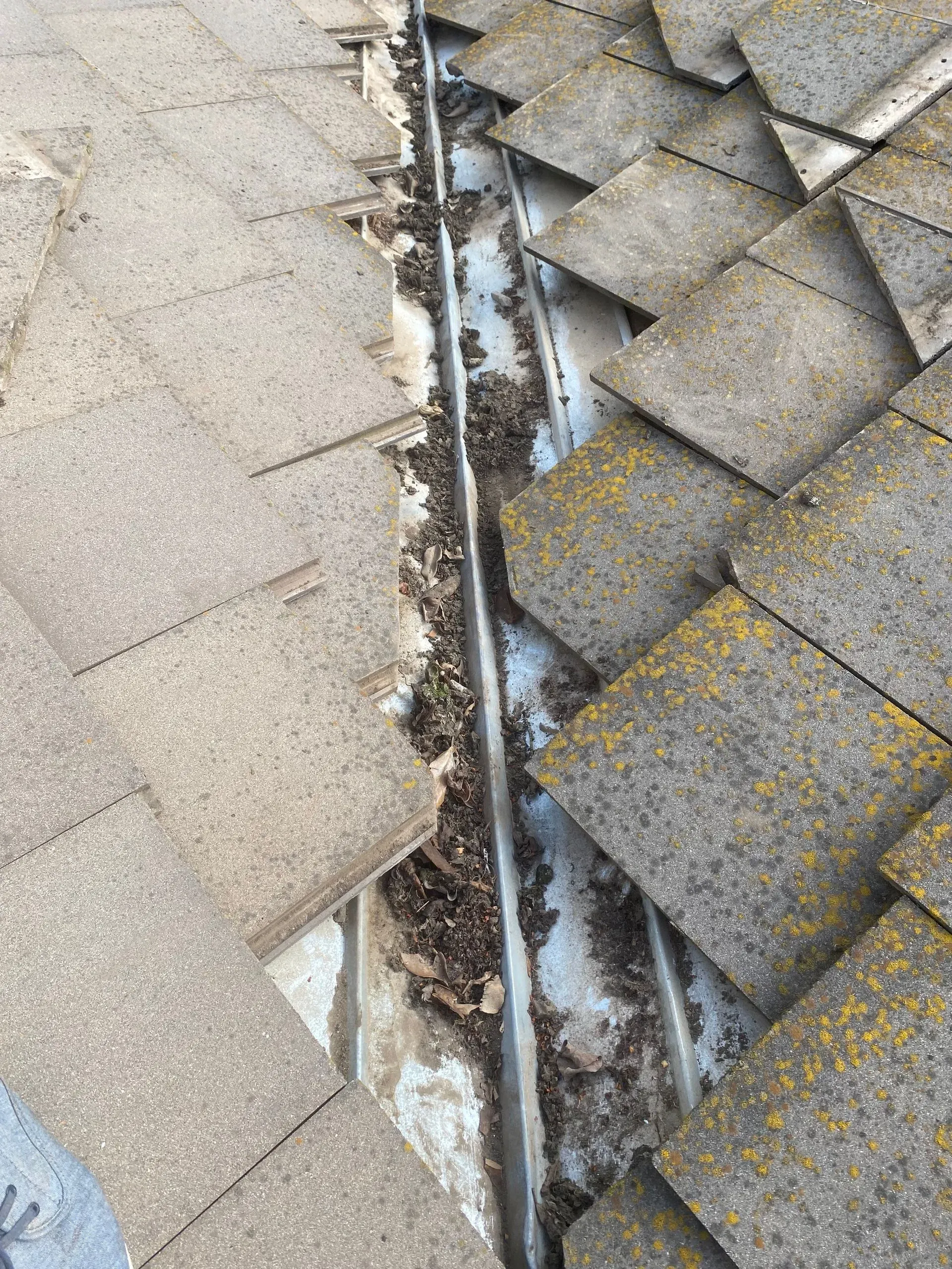 A close up of a gutter on a roof with leaves on it.