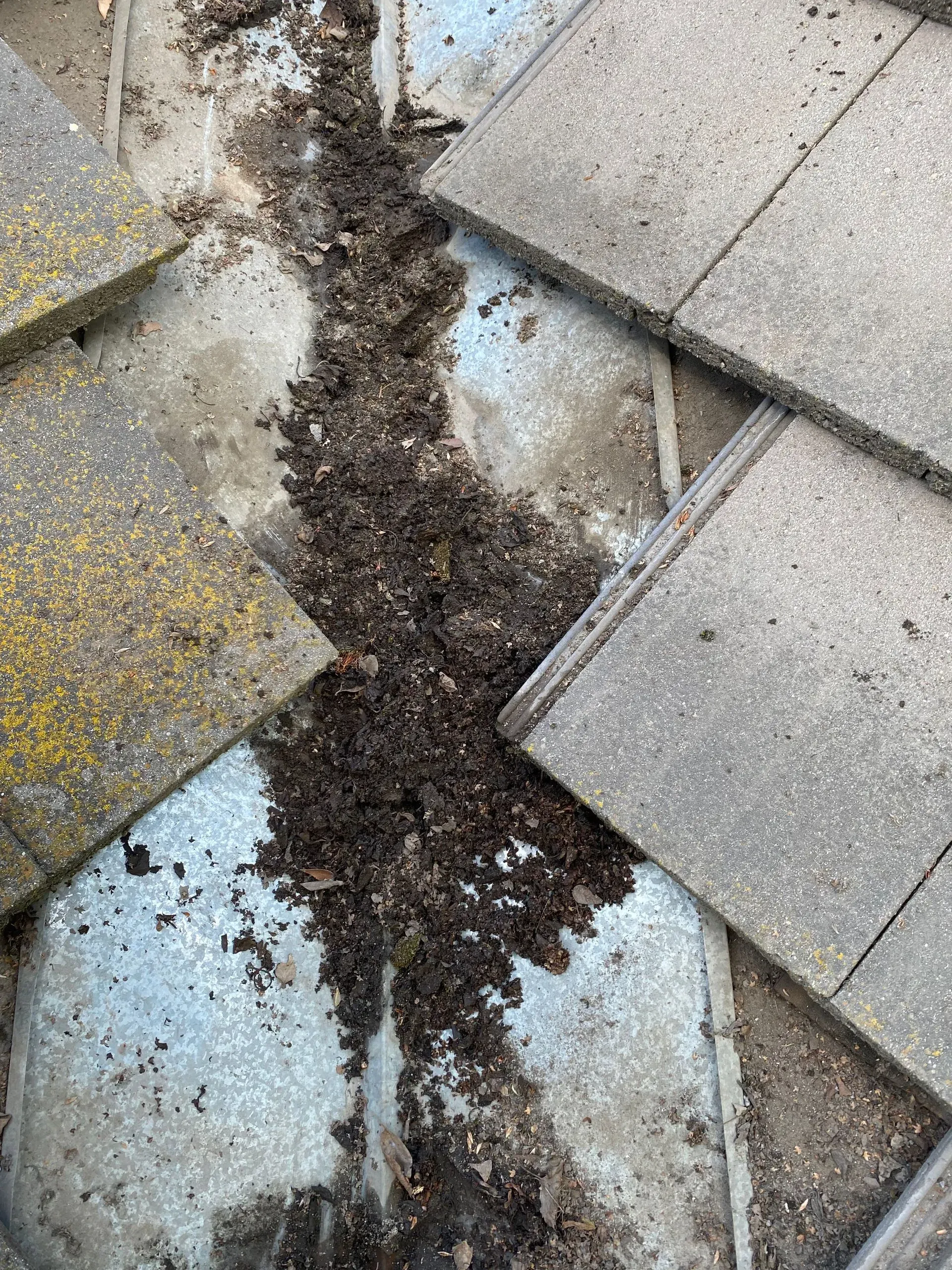 A close up of a roof with a lot of dirt on it.