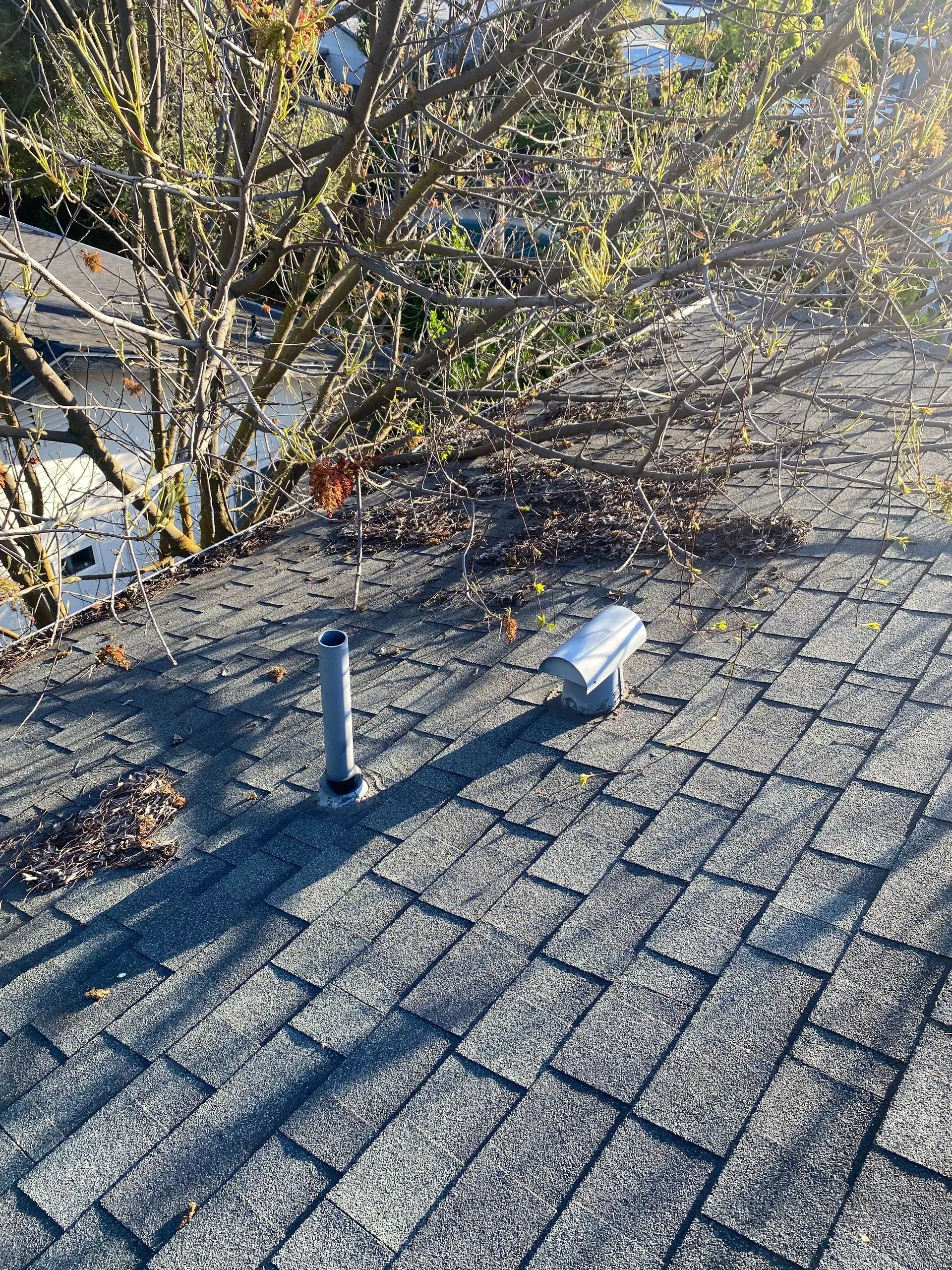 A roof with a chimney on it and a tree in the background.