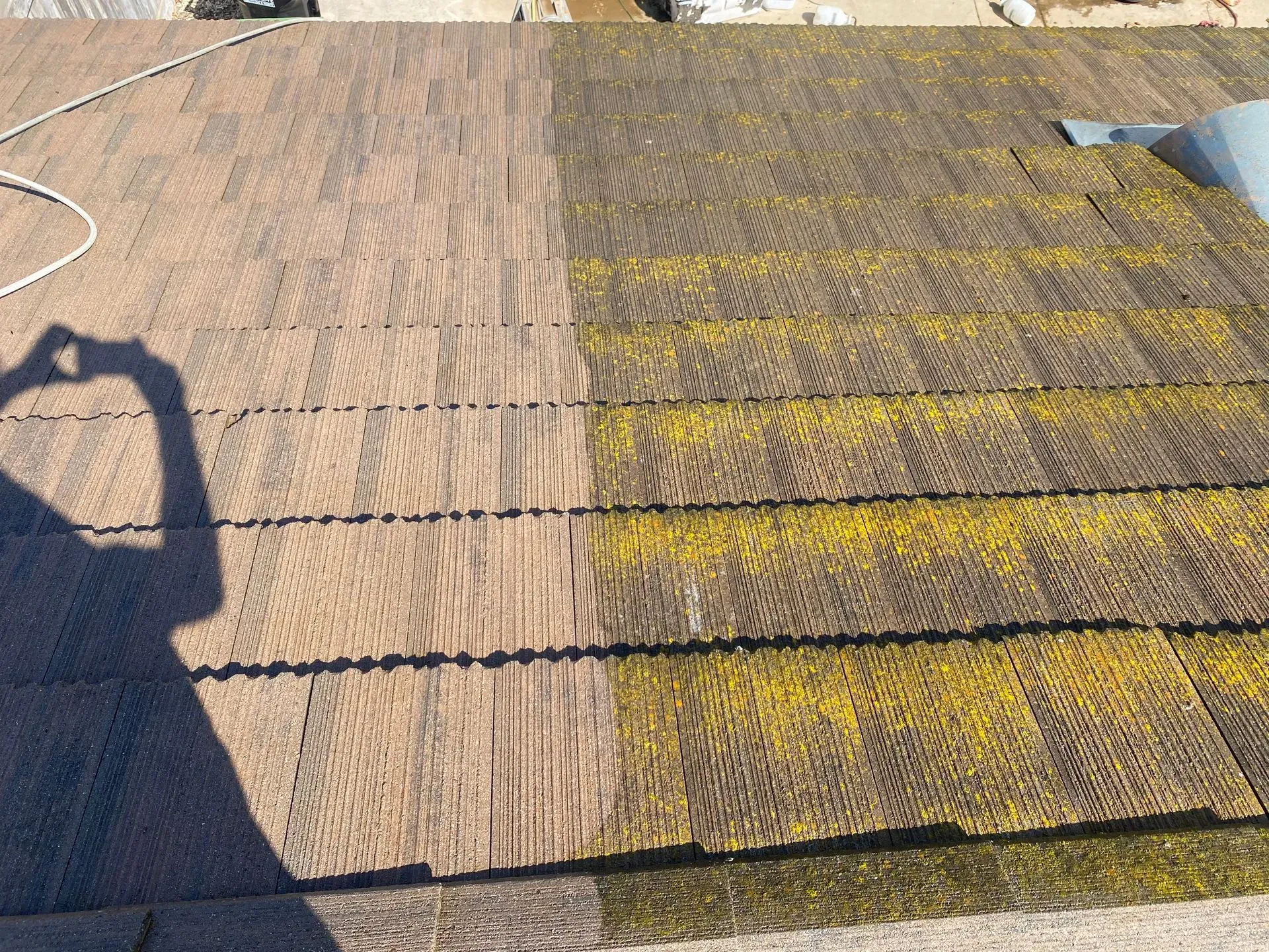 A person is taking a picture of a roof with moss on it.