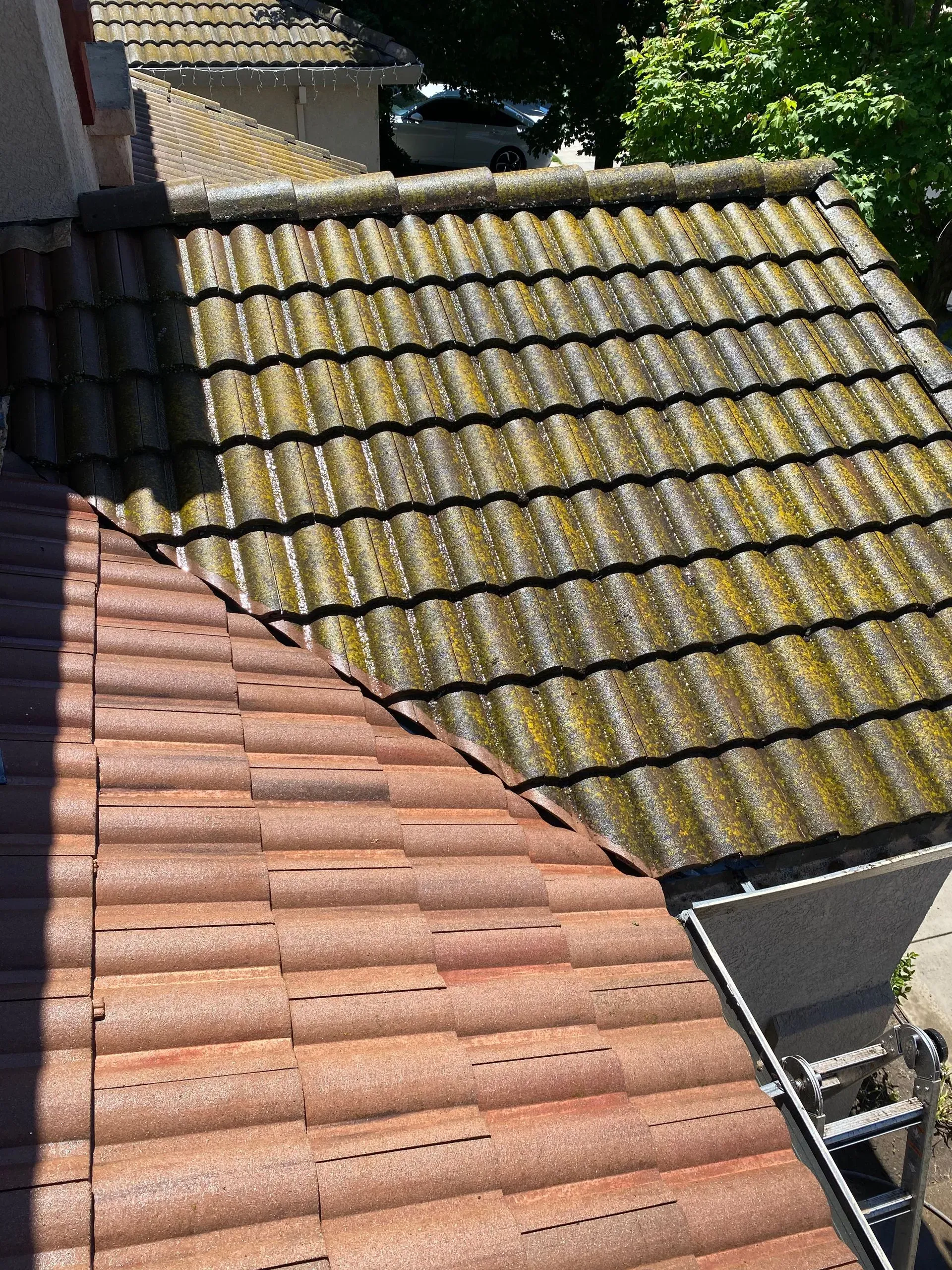 Roof clean