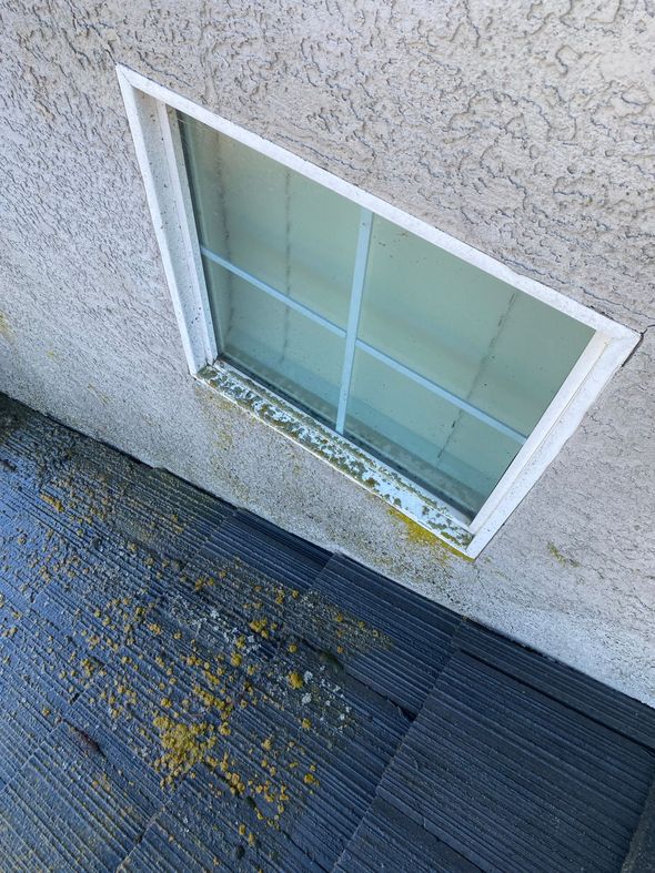 A window on the side of a building next to a roof.