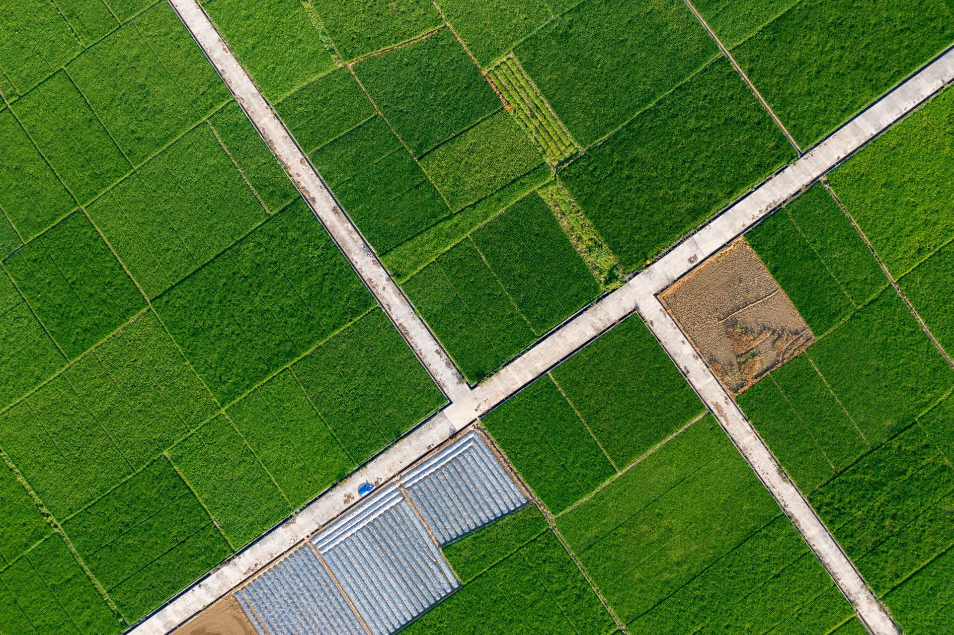 Land Acquisition & Development | Darnell Development | Visalia, CA