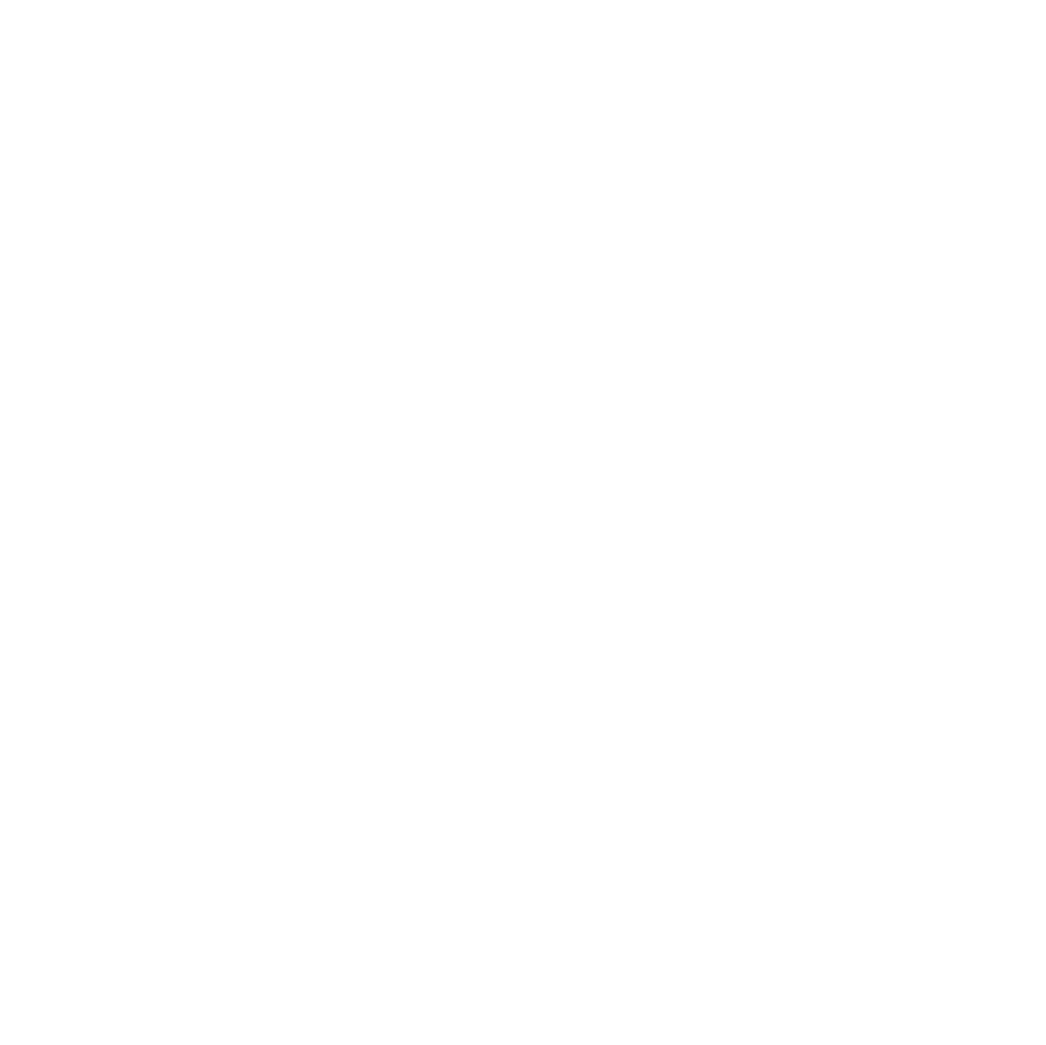 Salt Lake Truck Wash & Detail logo