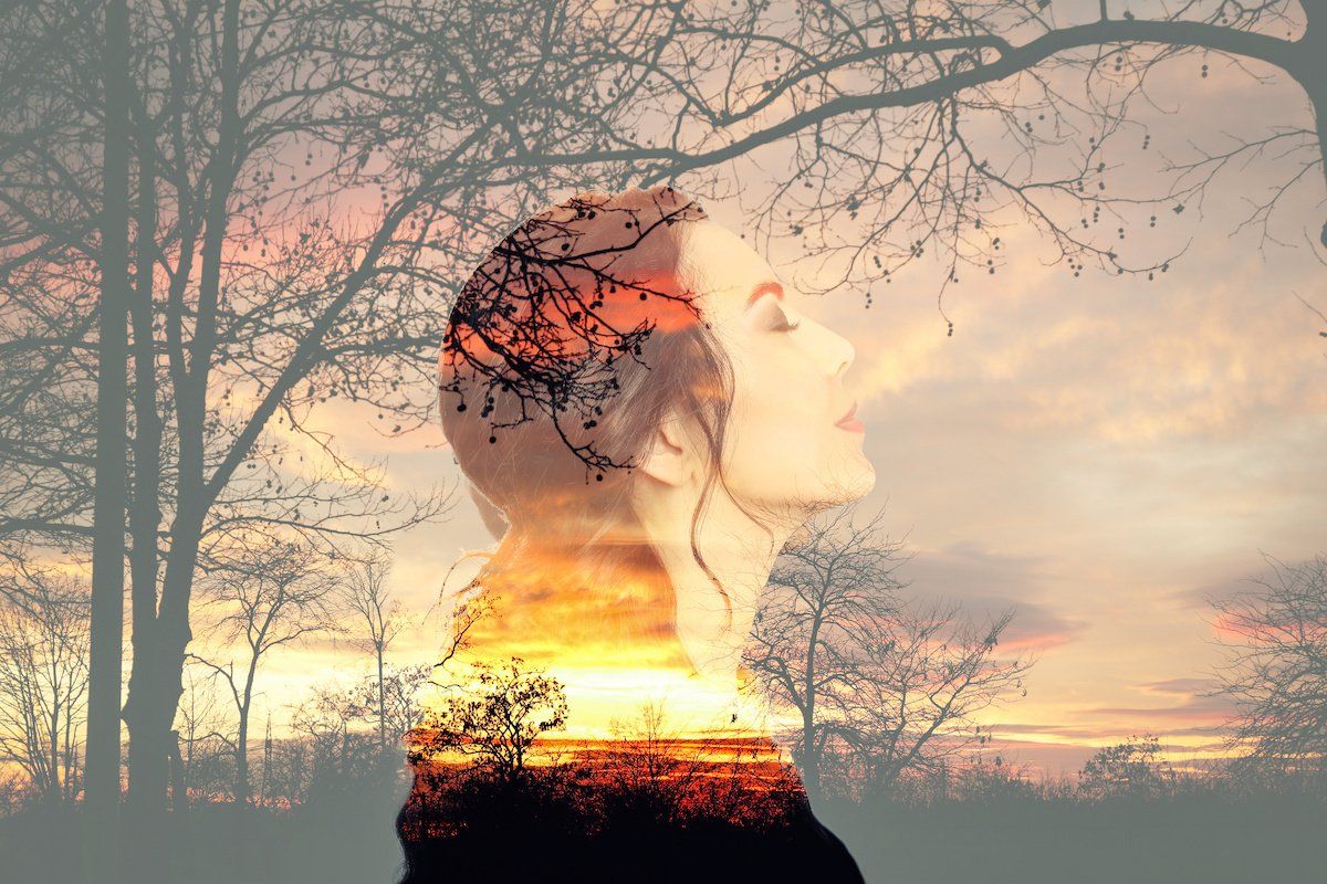 A double exposure of a woman 's face and trees at sunset.