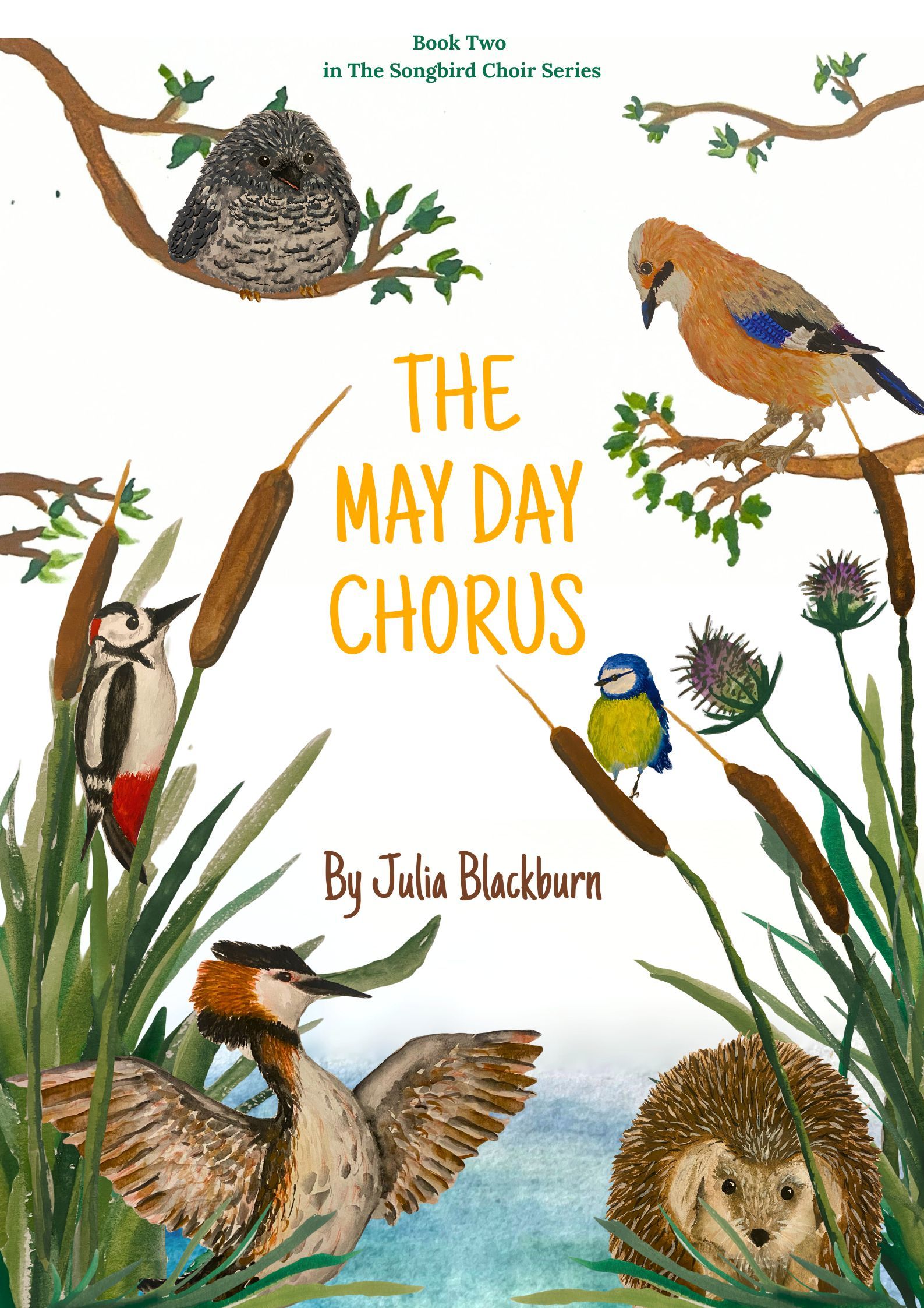 Julia Blackburn was longlisted for the Times / Chicken House Children's Fiction prize for her story now known as The Lost Dragonflies