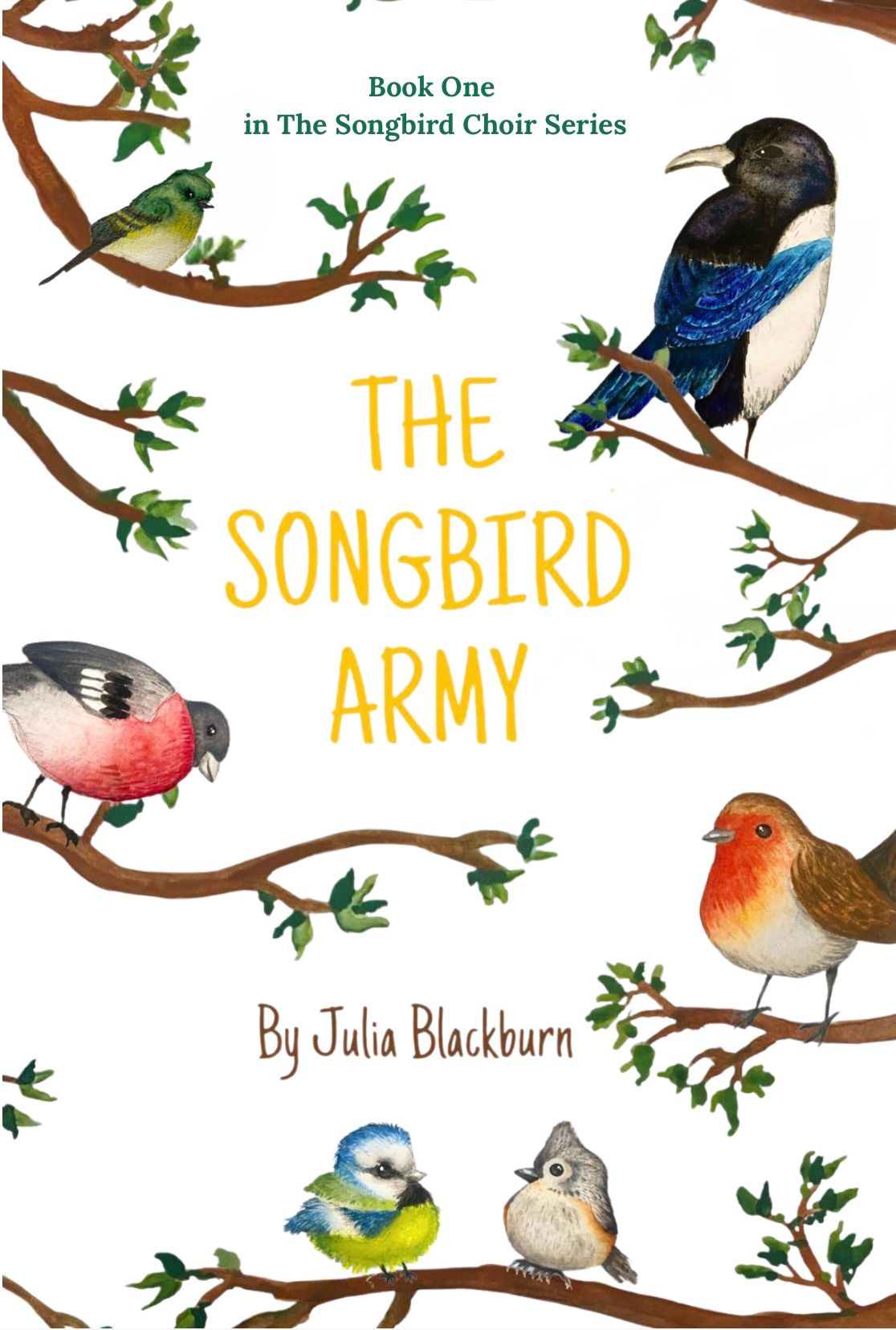 Julia Blackburn was longlisted for the Times / Chicken House Children's Fiction prize for her story now known as The Lost Dragonflies