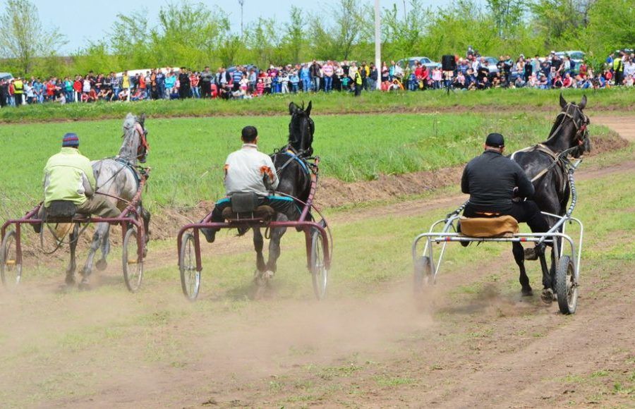 The celebration of horse racing and folk games in Gagauzia region