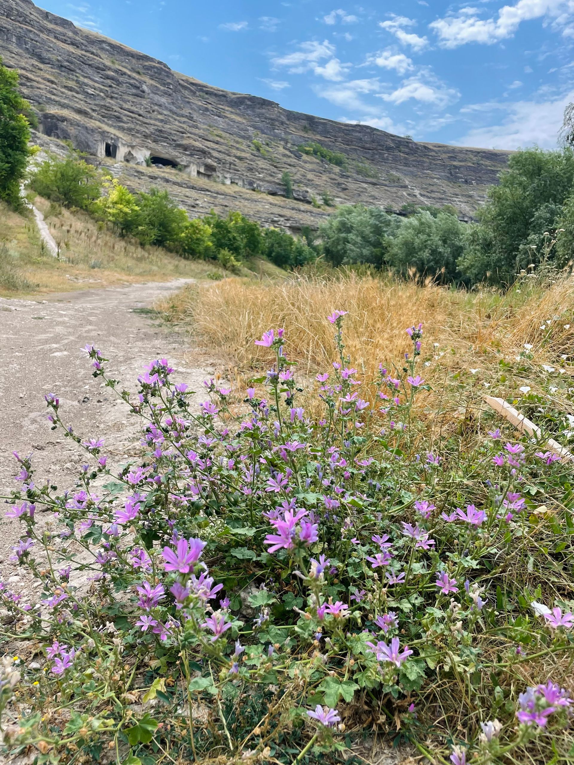 Prehistoric Caves in Old Orhei Reserve