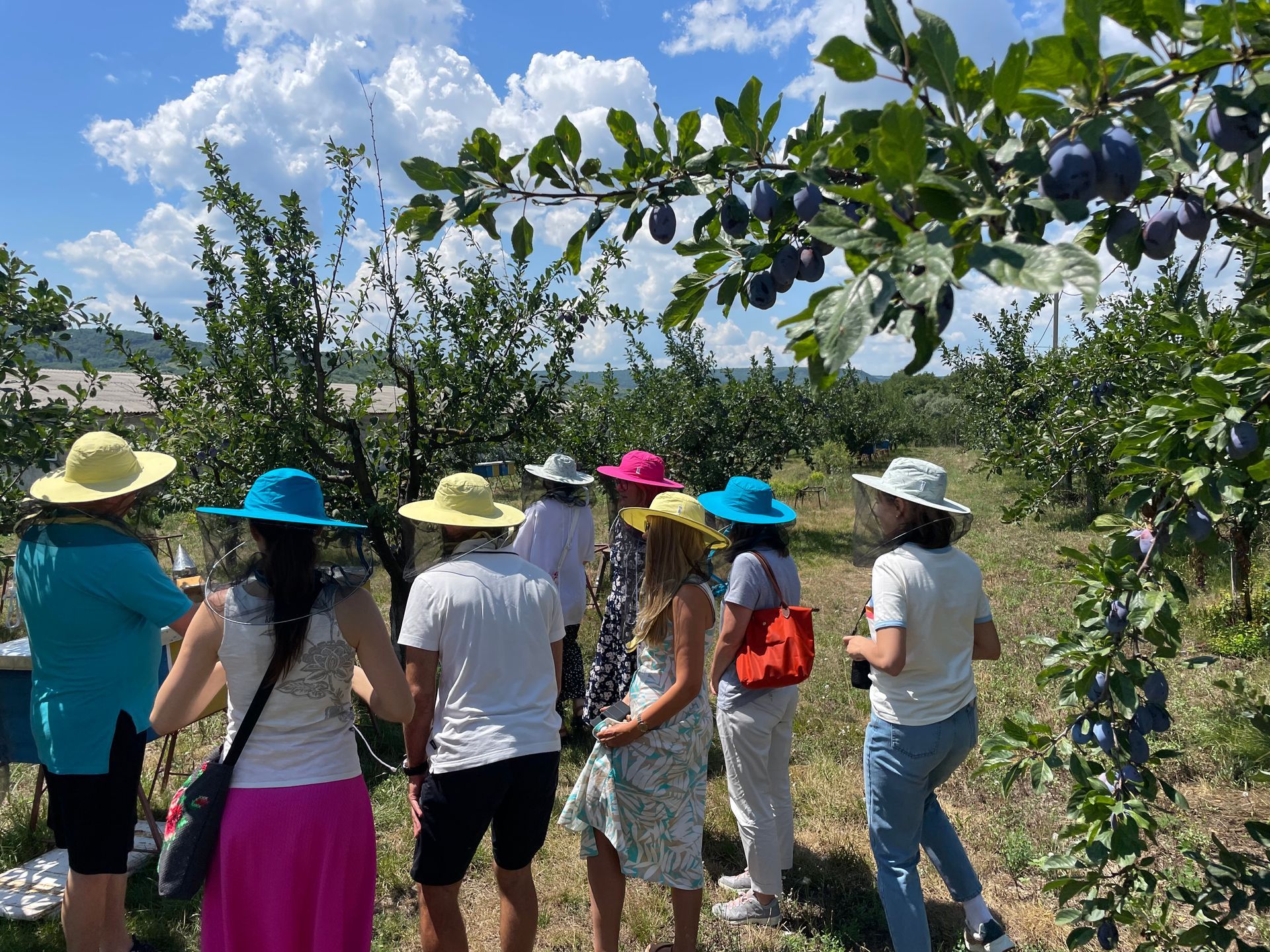 An excursion to Honey House in Micleuseni village