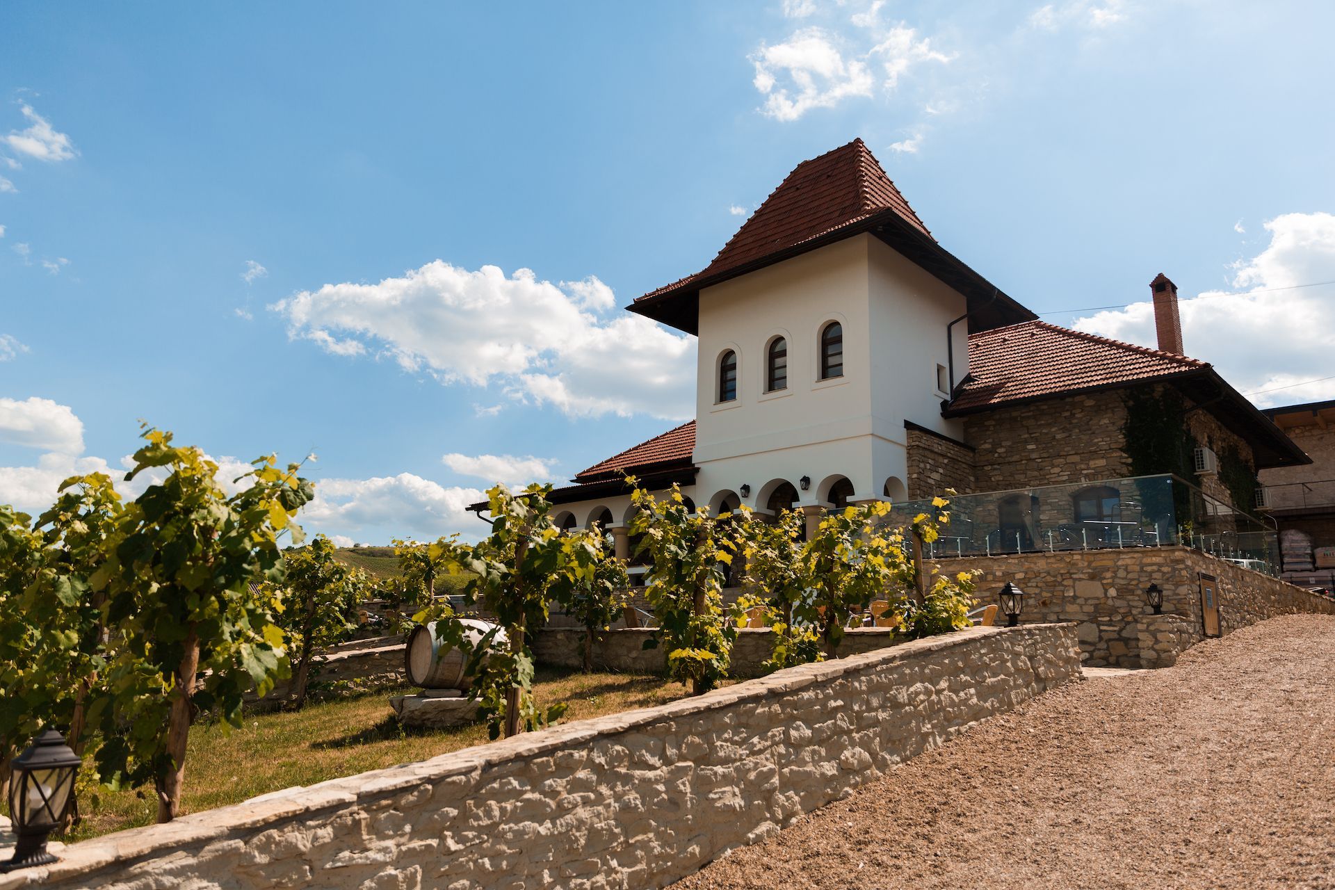 A wine tour at Crama Mircesti Winery