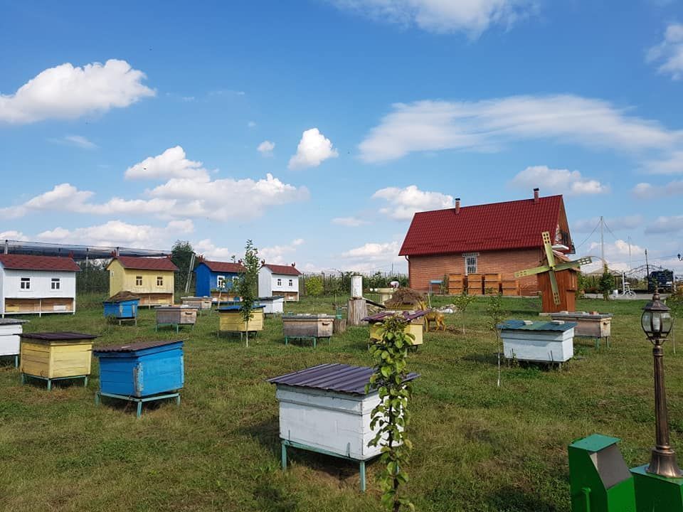 Discover House of Honey in Raciula village