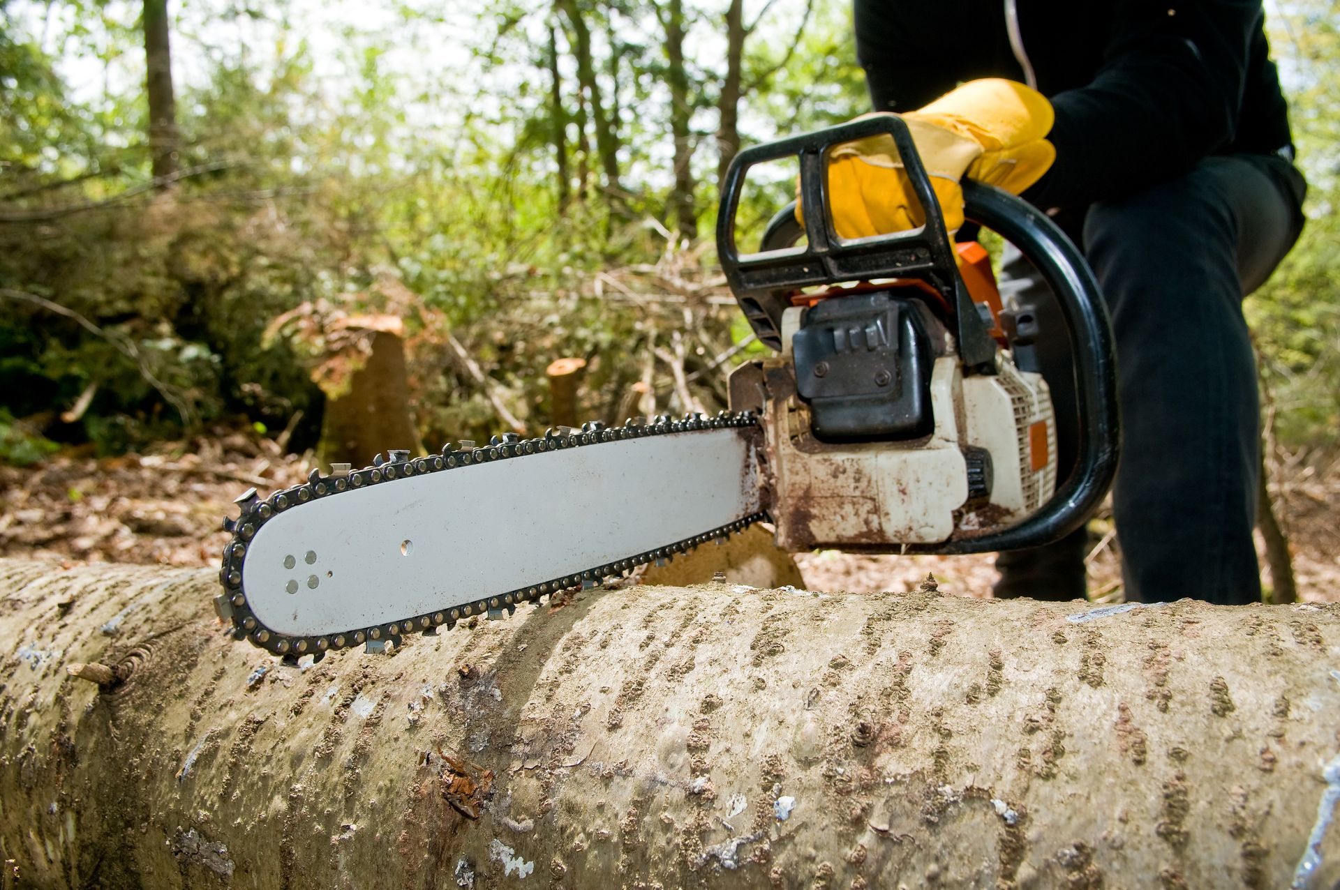 A man in a safety gear using a chainsaw to cut a fallen tree into smaller pieces.