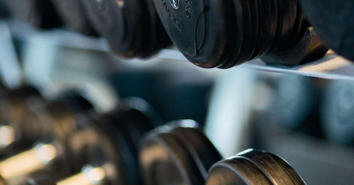 A row of dumbbells hanging on a rack in a gym.