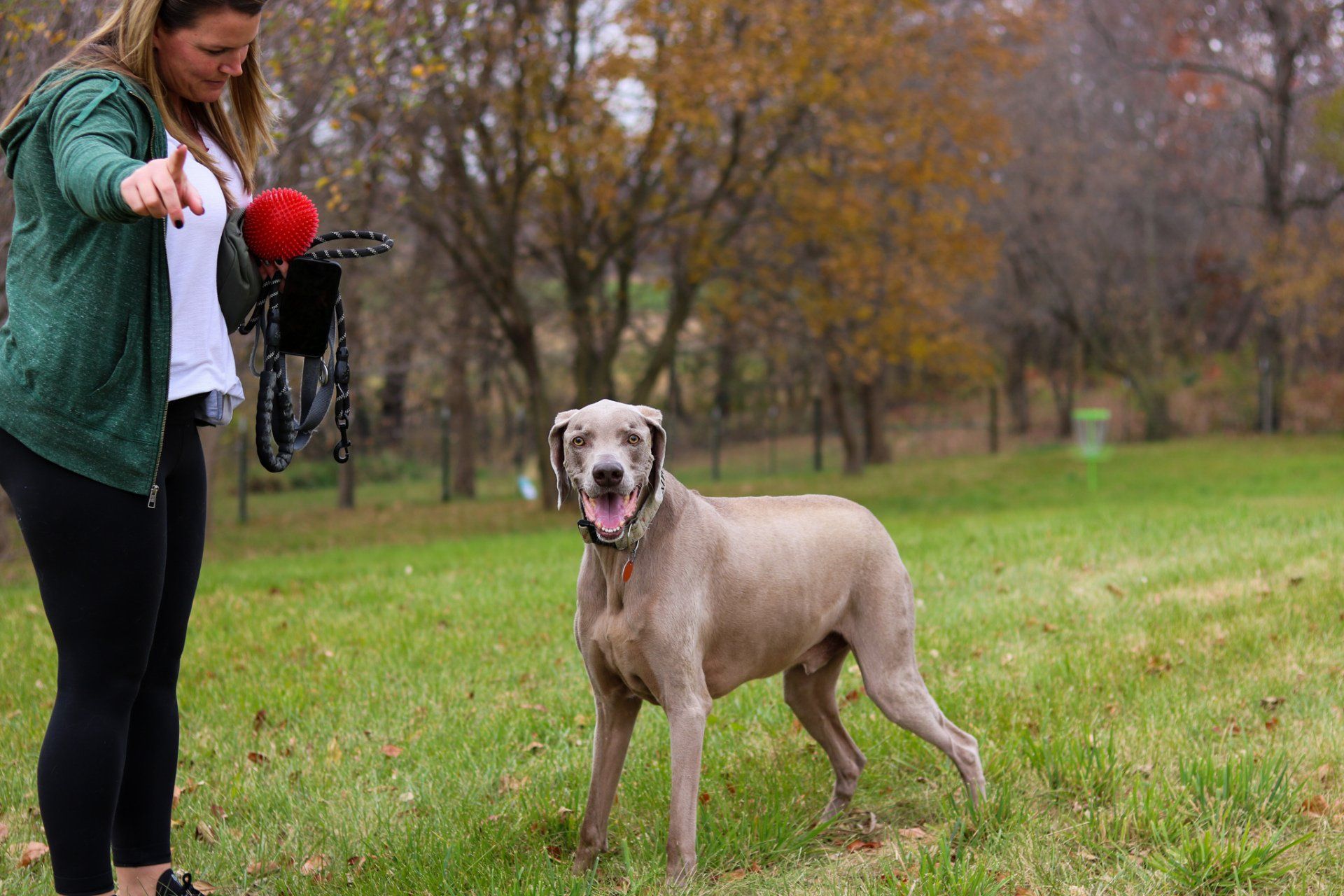 A woman is playing with a dog in a park.