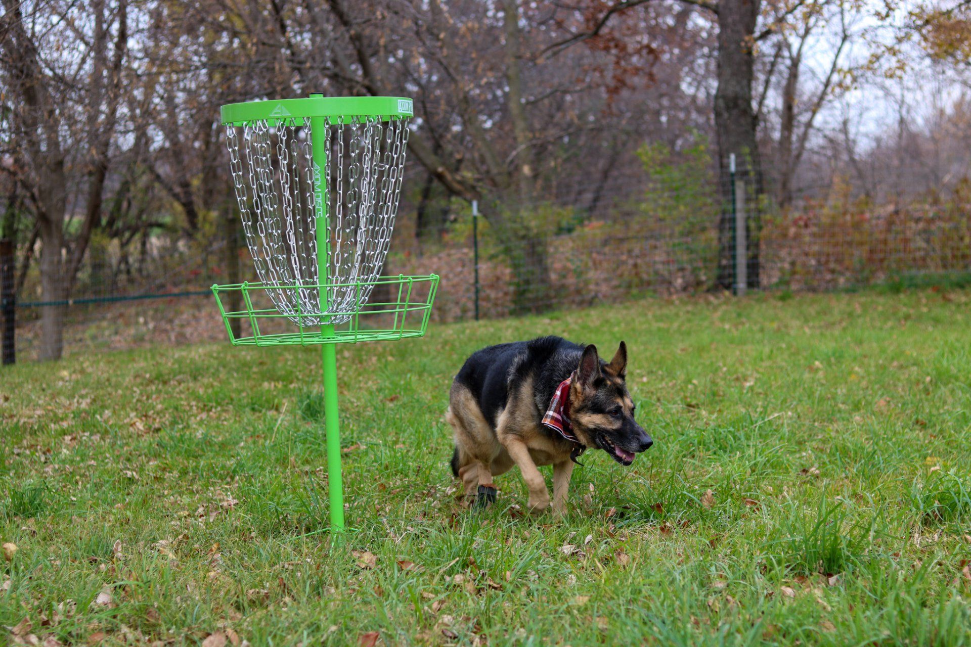 Disc Golf | Fly Dog Parks | Madison, Sun Prairie