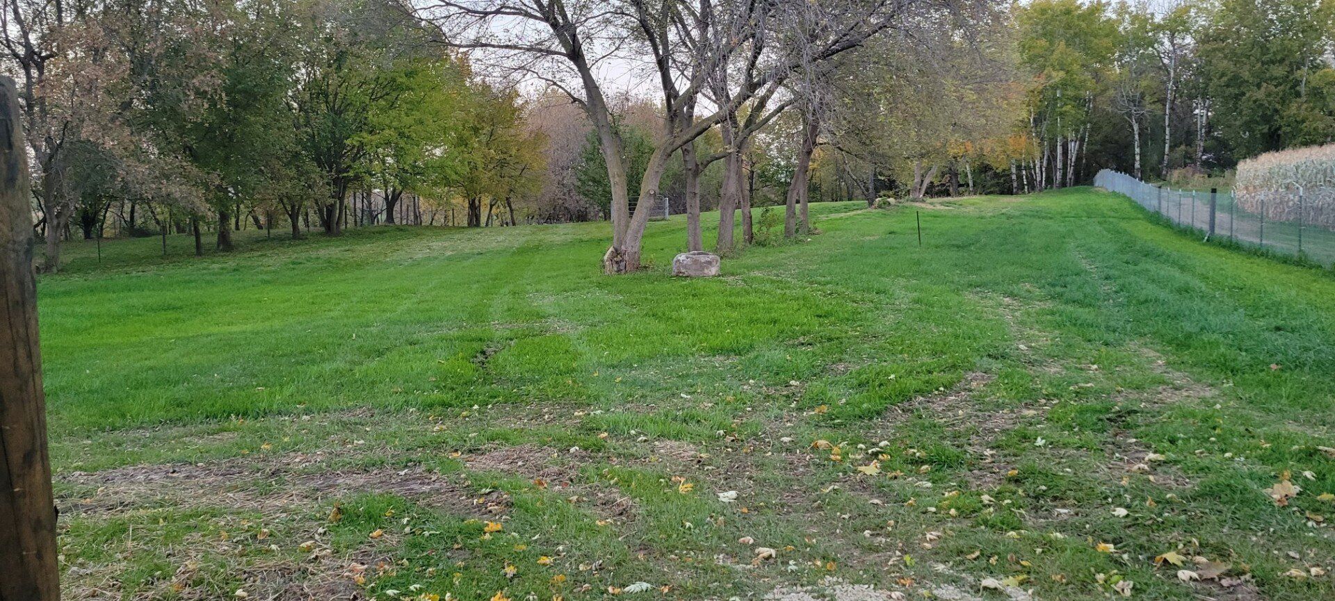 Landscape Shot of Fly Dog Parks Sun Prairie Wisconsin