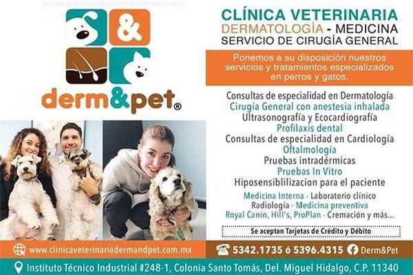 CLÍNICA VETERINARIA DERM & PET