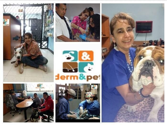CLÍNICA VETERINARIA DERM & PET