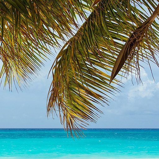 Gulf Shores Condos At Seawind