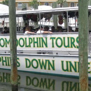 A boat with dolphin tours written on the side of it
