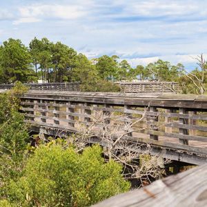A wooden bridge in the middle of a forest surrounded by trees.