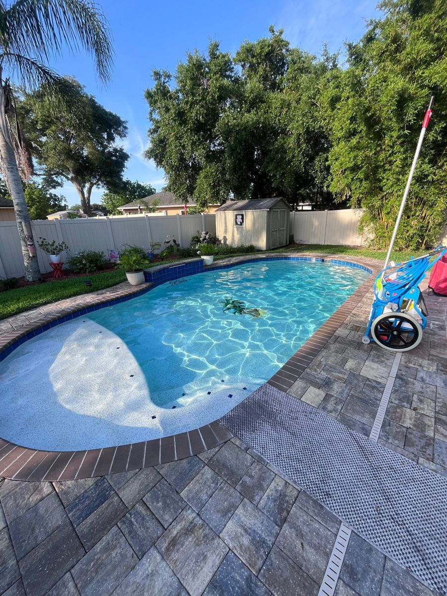 Backyard pool with blue water, surrounded by pavers. Small shed and trees in the background.