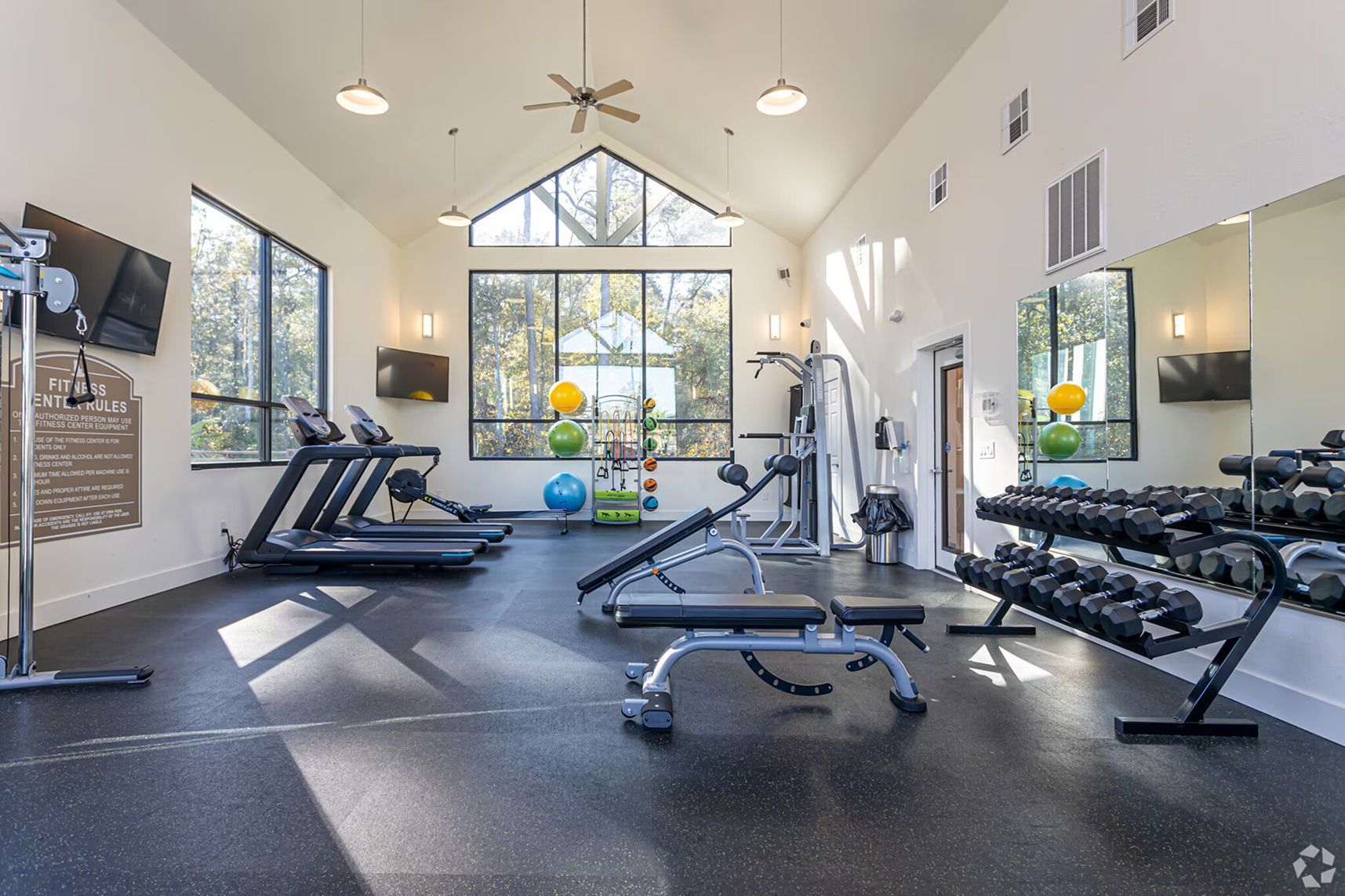 Spacious gym with weight benches, free weights, and large windows at Waypoint at Hammond.