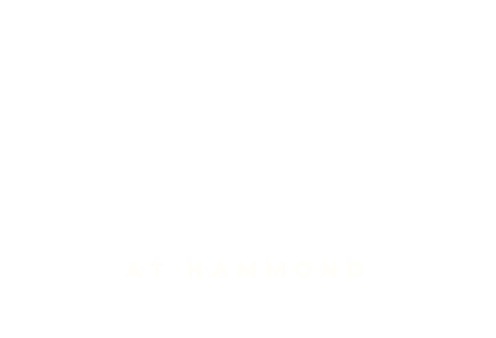 The Waypoint at Hammond Company Logo - click to go to home page