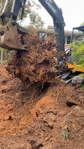 Excavator lifting large tree root ball from a ditch in red soil, with house in background.