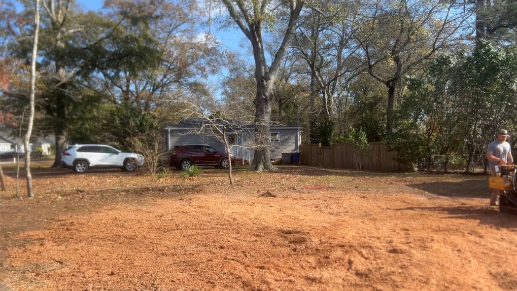 A small house, surrounded by trees, with a car in front. A person stands on the right.